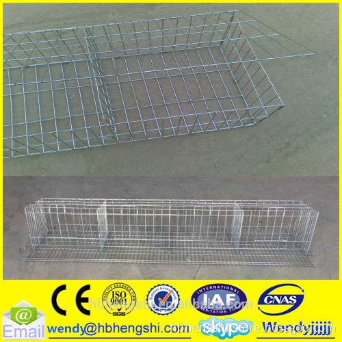 Layer chicken cage/chicken farm